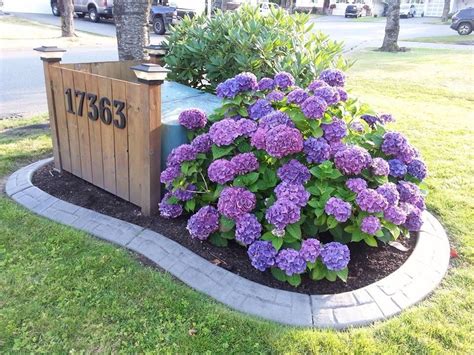 water boxes in front yard